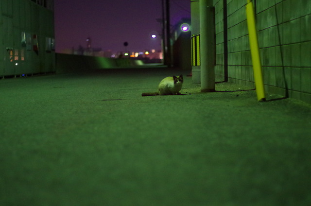 pentax20140223_45