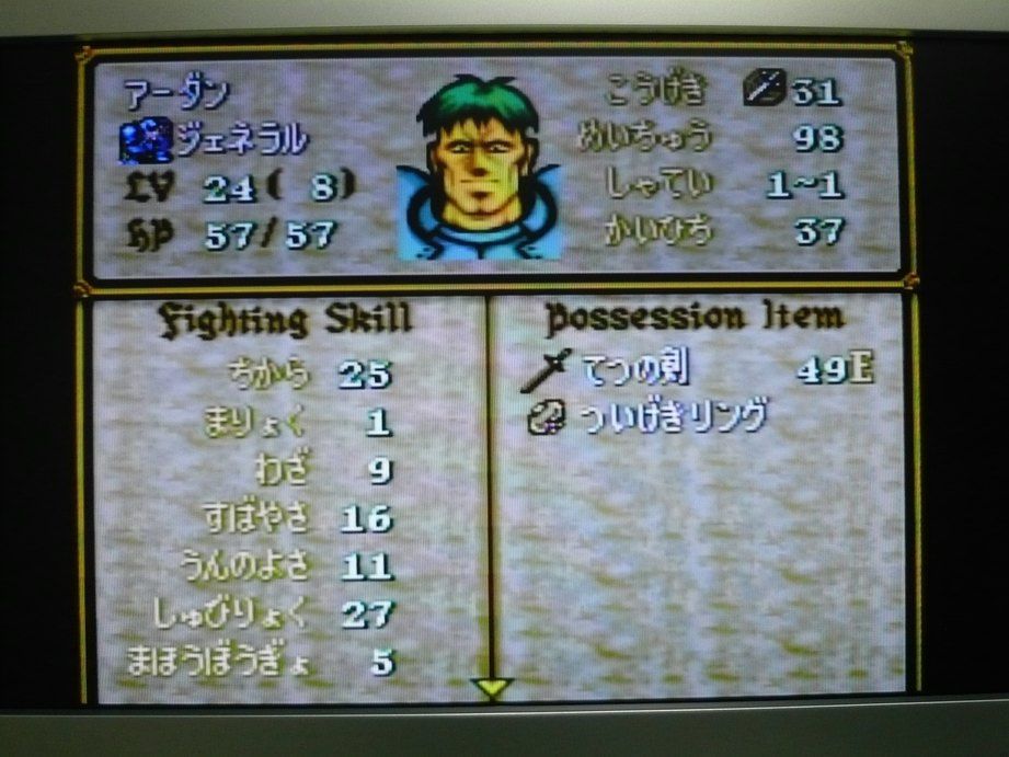 256 Fe聖戦 第2章 アグストリアの動乱 親世代キャラデータ その7 夢現 徒然に