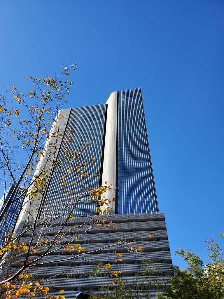 2023年11月 : ラジオ、大相撲、ハワイ、70年代洋楽好き