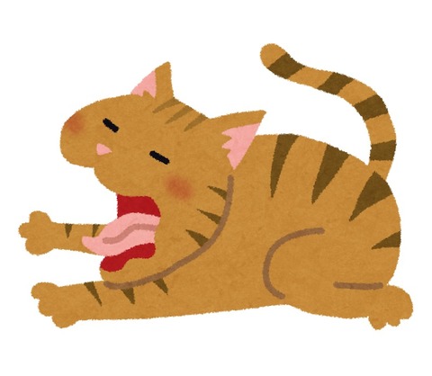 akubi_cat