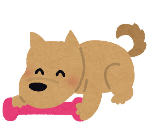 pet_omocha