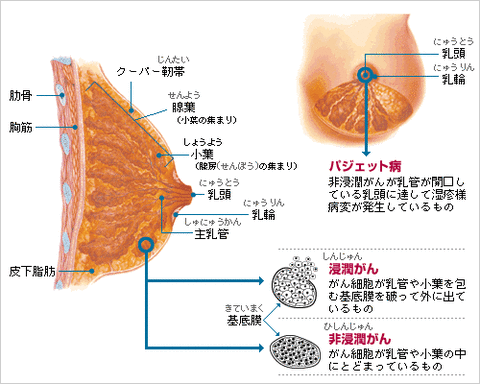 fact_illust_01