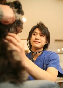 img49f7273azik4zj