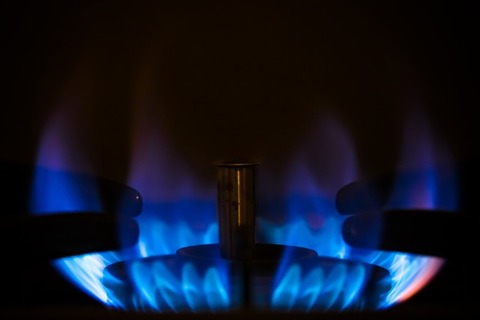 KAZDSCF2666_TP_V1