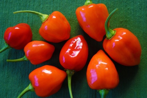 1d9ce350e6791b565f88afccf5275622_s