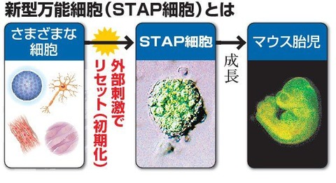 6-stap-towa