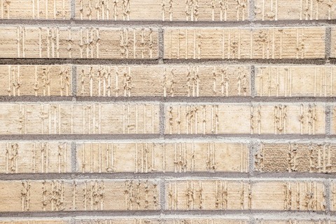 KAZUKIDSCF2426_TP_V1