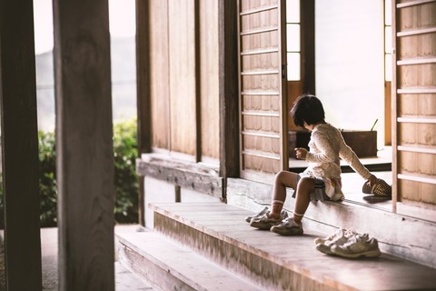 放置子