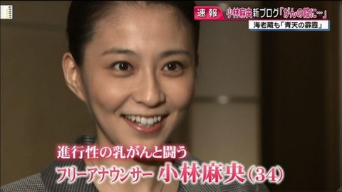 B 速報 小林麻央さん終了 鬼女まとめログ 生活2chまとめブログ