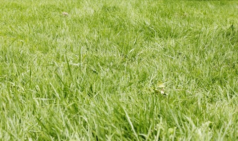 6a0611b52150522227505ddff2e4e7eb_s