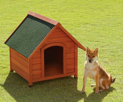 柴犬の犬小屋