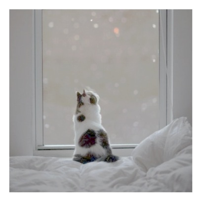 https://livedoor.blogimg.jp/kijyo_ita/imgs/5/3/53713c9e.jpg