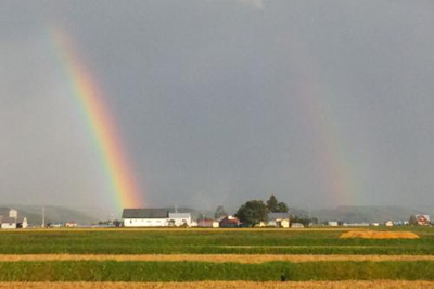 旦那に対するささやかな愚痴33