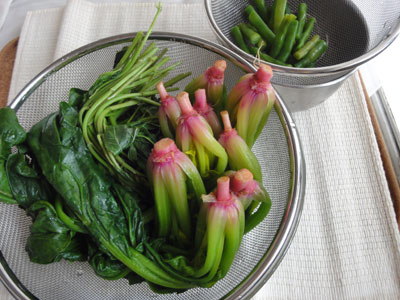 【所詮は】姑が大嫌い123【古い女】