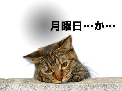 https://livedoor.blogimg.jp/kijyo_ita/imgs/a/d/ada46682.jpg