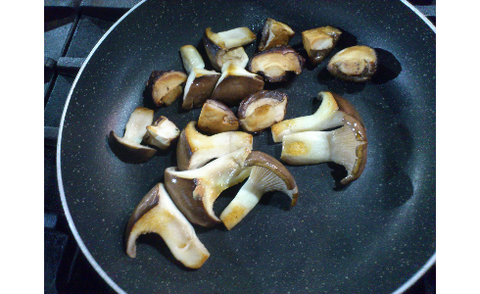 22news4vip-1395931798-22