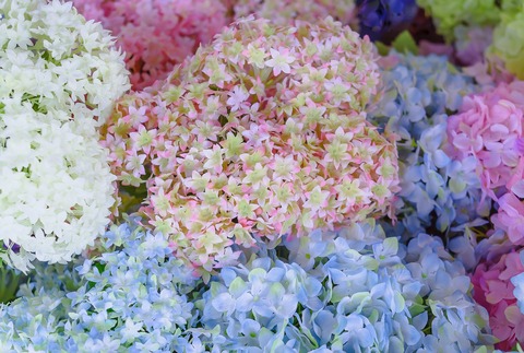 artificial-flowers-3120573_1280