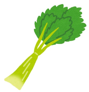 vegetable_celery