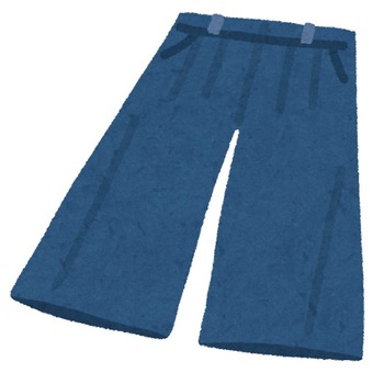 fashion_gaucho pants