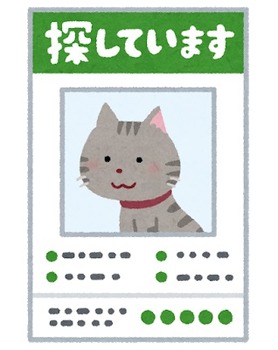 yukuefumei_pet_cat