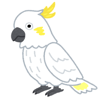 bird_kobatan