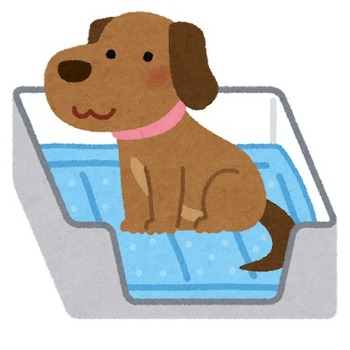 pet_toilet_sheet_dog