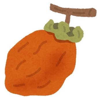 fruit_hoshigaki