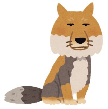 animal_sunagitsune