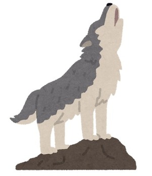 animal_ookami_tooboe