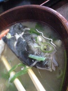氷見 かぶす汁 Hamの 日常 氷見 かぶす汁 Hamの 日常