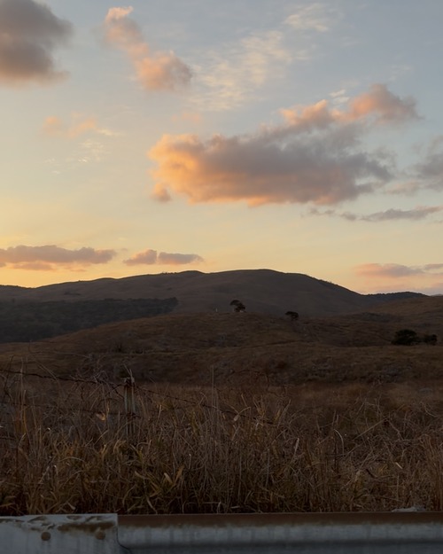 �̿� 2026-01-12 13 24 13