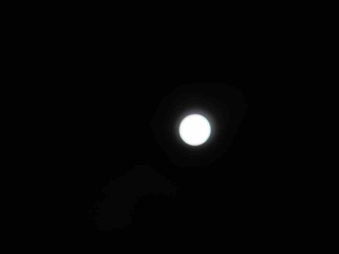 IMG_8741