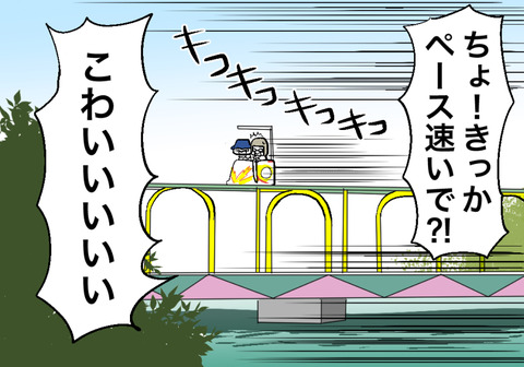 skaycycle_go04