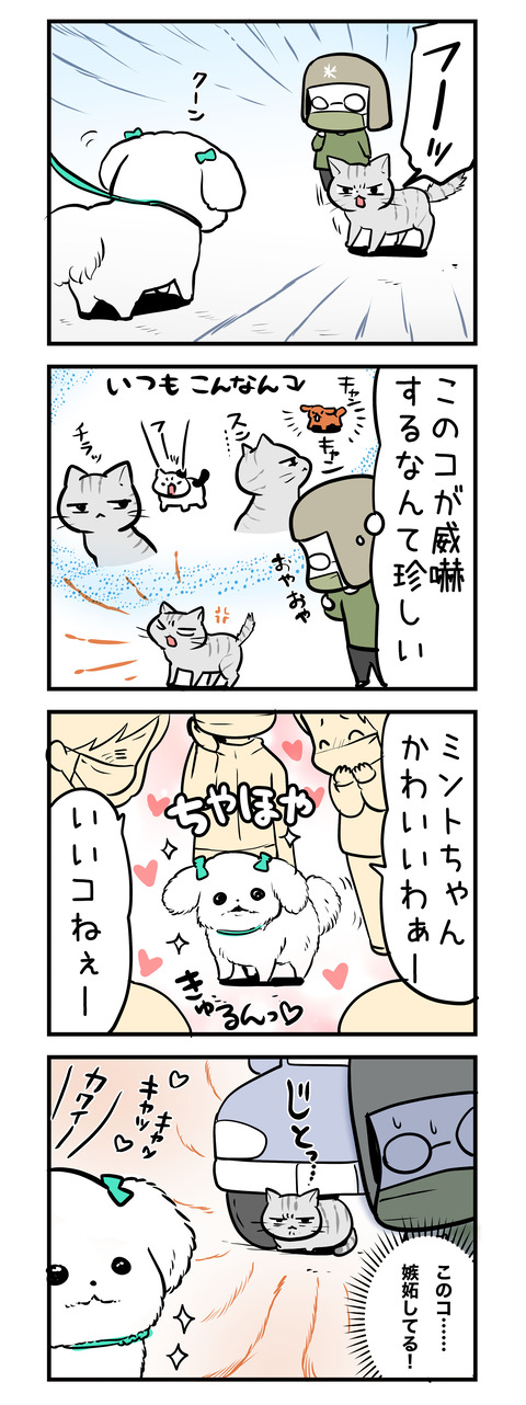 sitto_neko