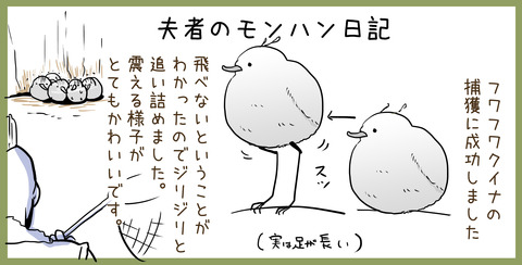 20180204_cut