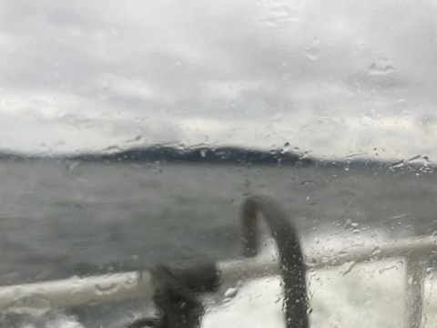 IMG_9304