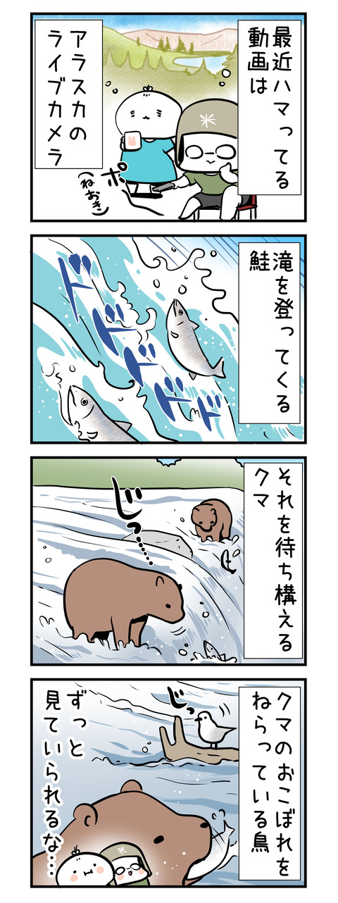 bear_salmon