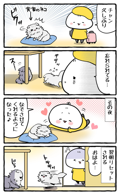 zikka_neko2026