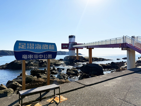 ashizurikaiteikan