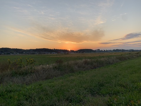 IMG_4764