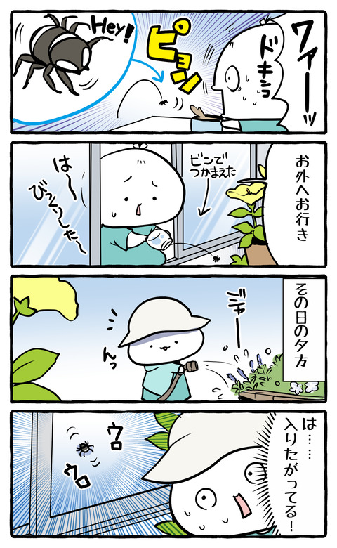 kumo_hairitai