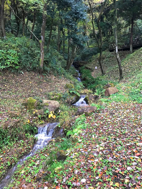 20161124_park07