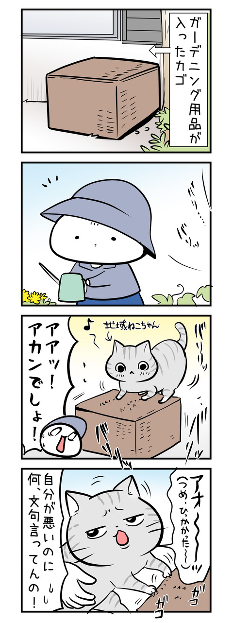tumetogi_neko