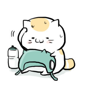 チャリにゃんメットオフ