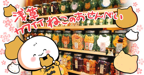 nekosenbei_midashi