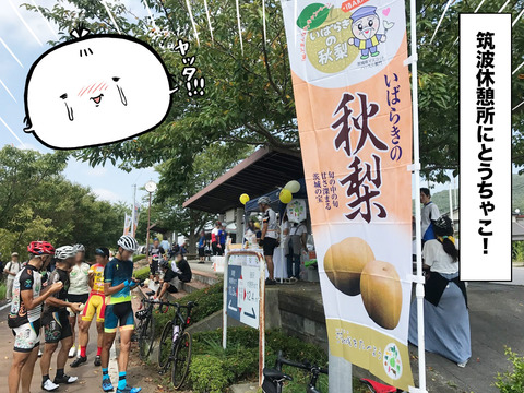 nashi_01
