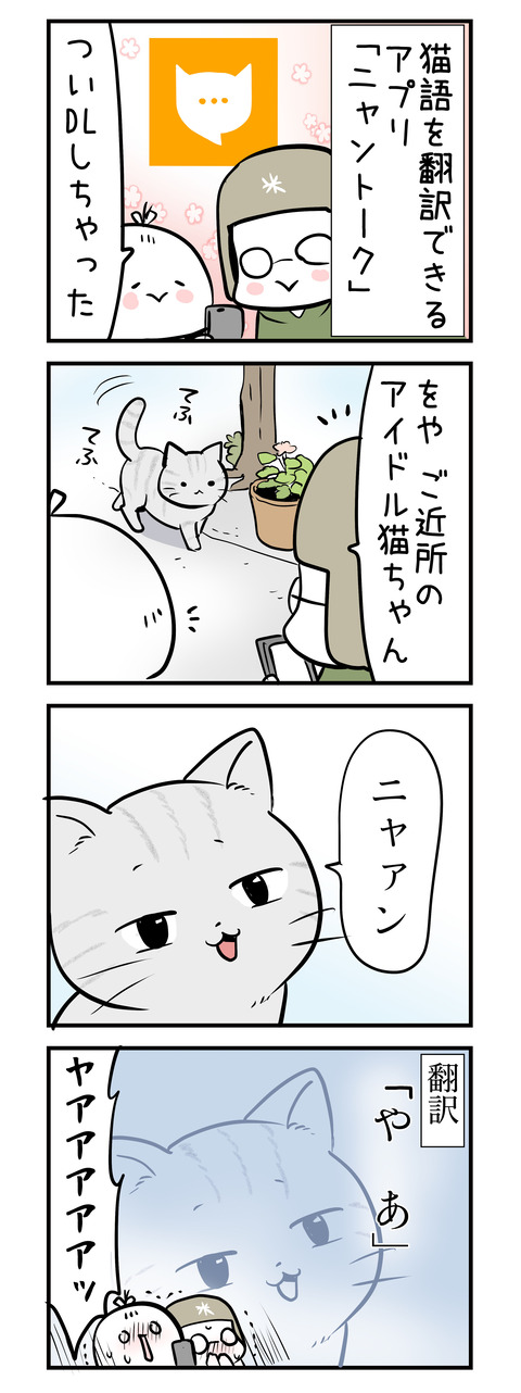 nyan_talk