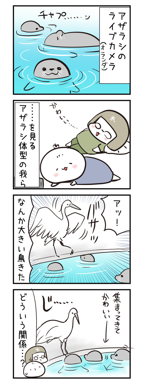azarashi