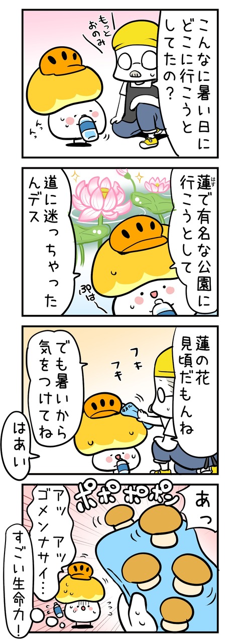 kinoko_met13