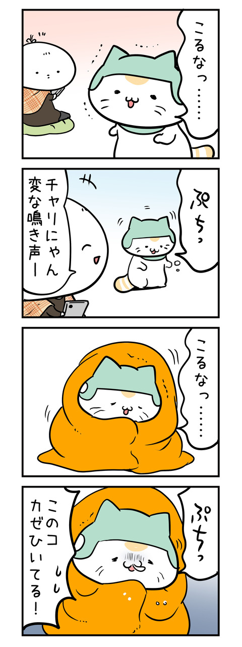 charinyan_kaze01